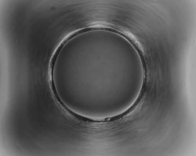 X0000094061376200710191053