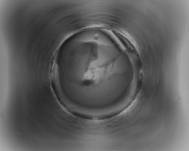 X0000094061377200710191053