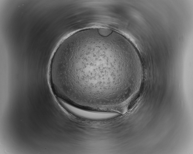 X0000094061379200710191053