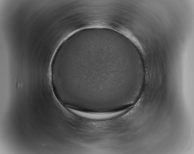 X0000094061380200710191053