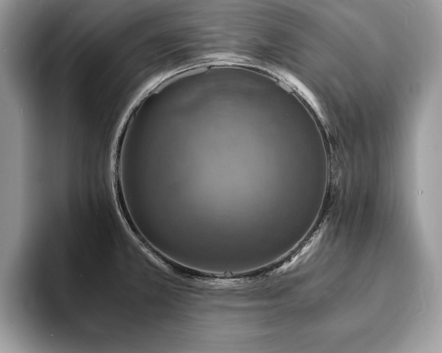 X0000094061381200710191053