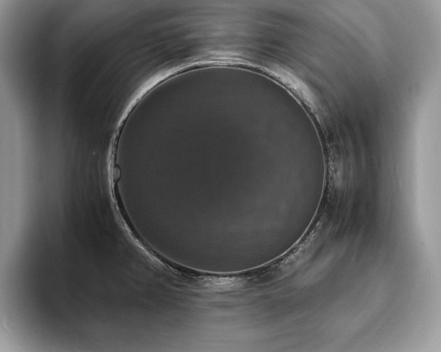 X0000094061382200710191053