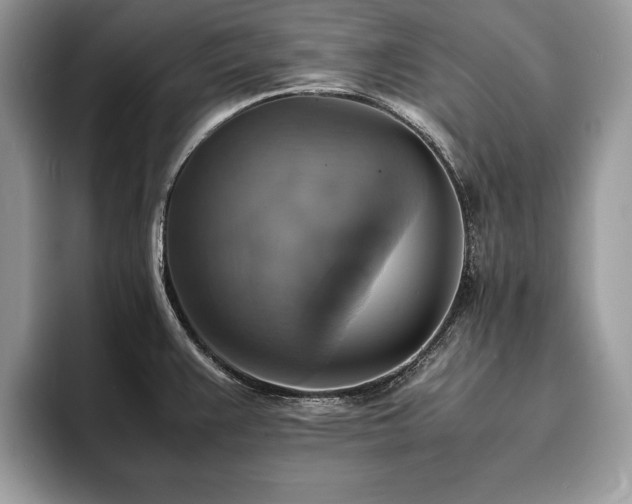 X0000094061383200710191053