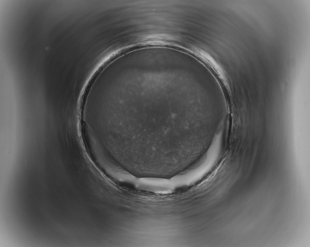 X0000094061384200710191053