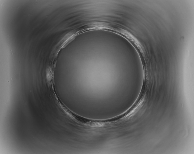 X0000094061385200710191053
