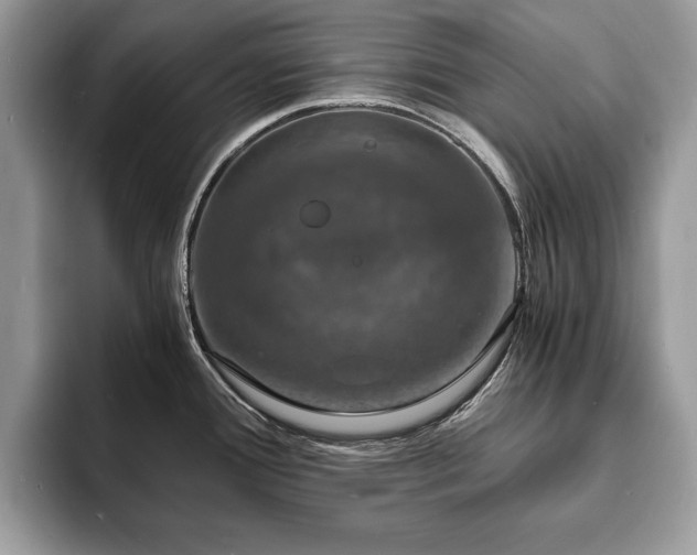 X0000094061388200710191053