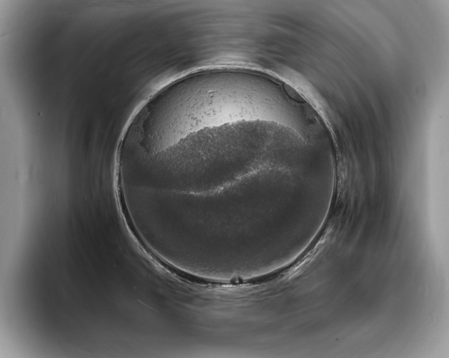 X0000094061390200710191053