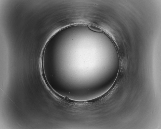 X0000094061391200710191053