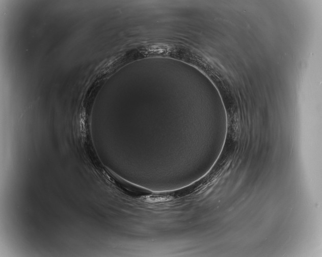X0000094061394200710191053