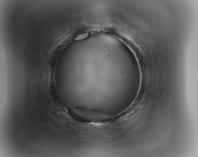 X0000094061399200710191053
