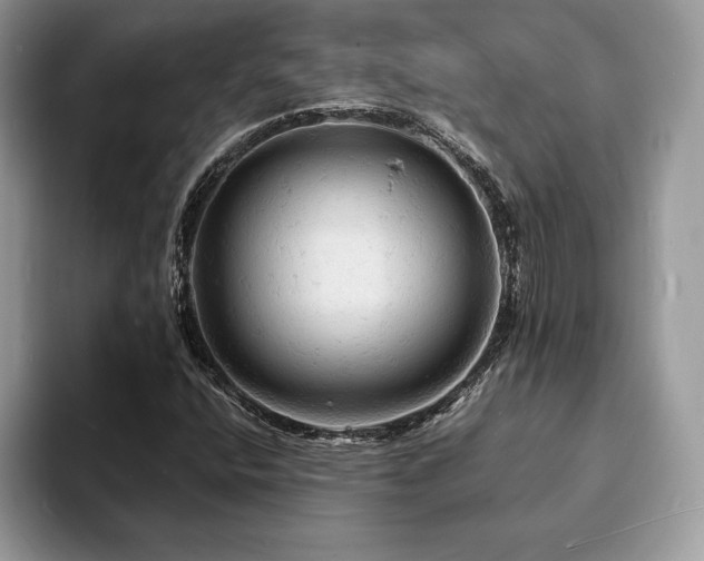 X0000094061400200710191053