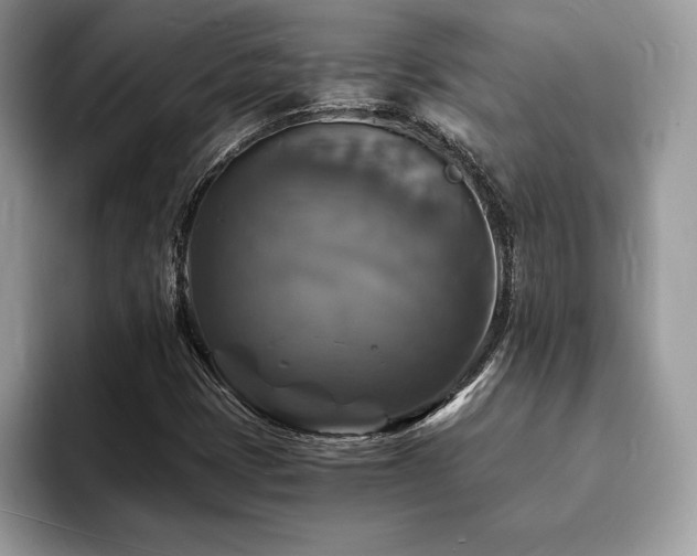 X0000094061401200710191053