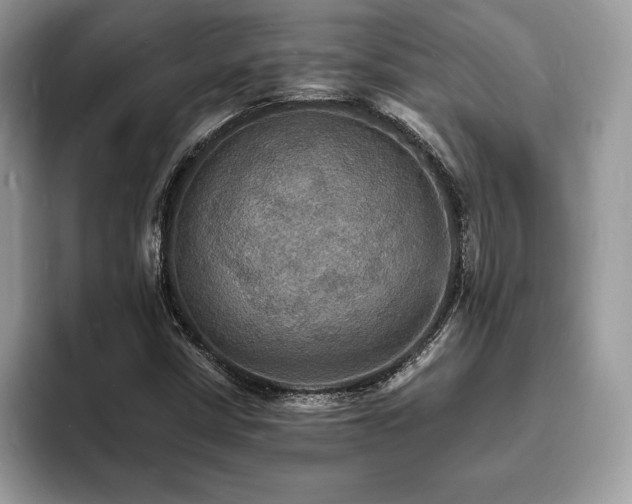 X0000094061402200710191053