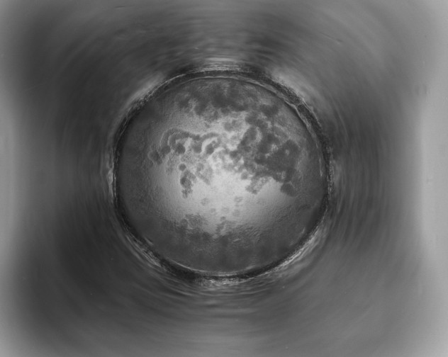 X0000094061403200710191053