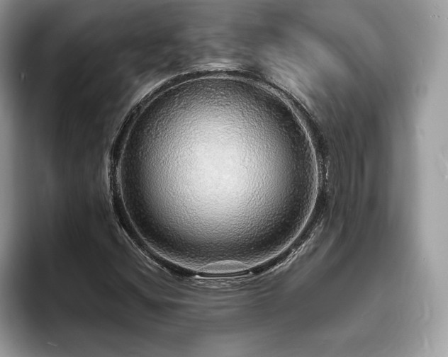 X0000094061404200710191053