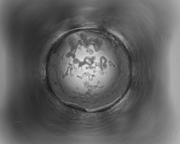 X0000094061407200710191053
