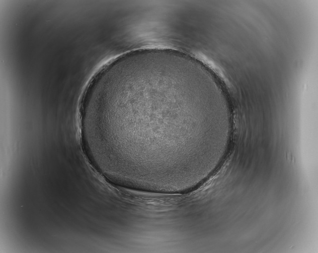 X0000094061408200710191053
