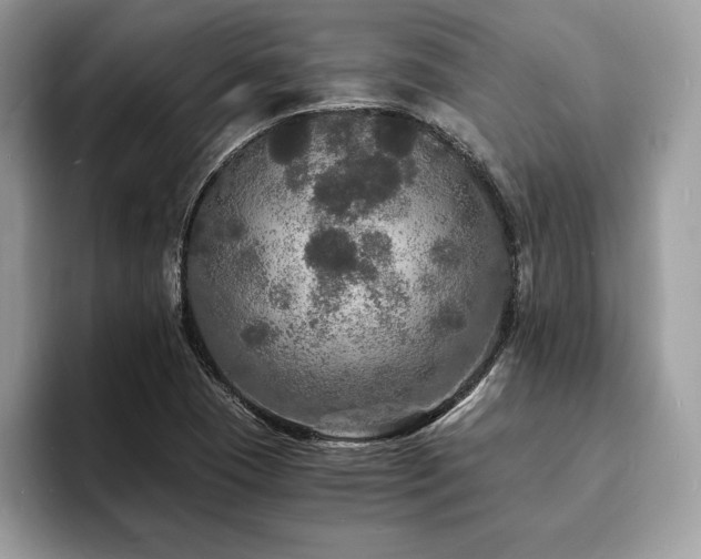 X0000094061409200710191053