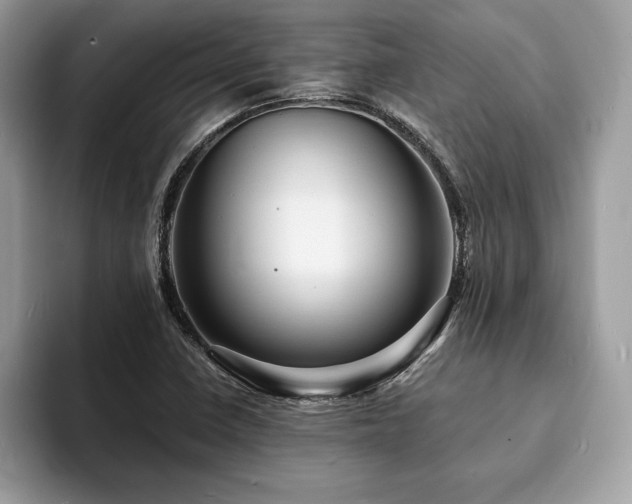 X0000094061410200710191053