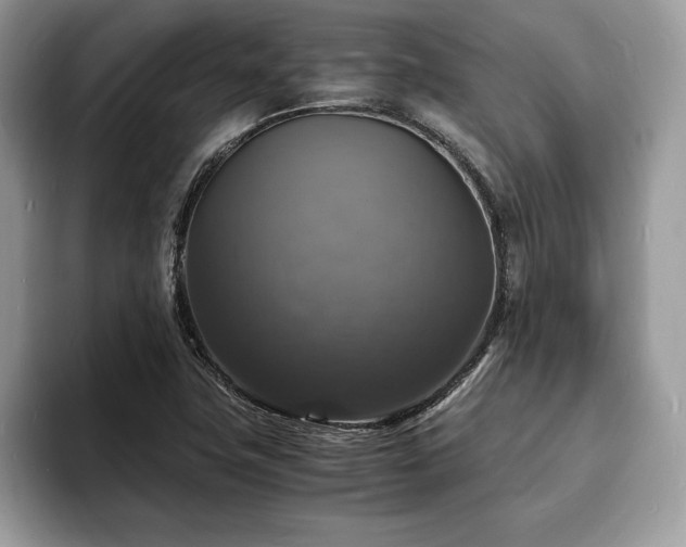 X0000094061411200710191053
