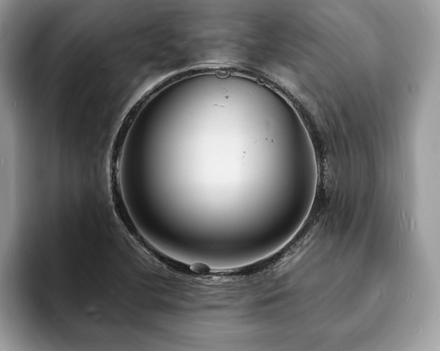 X0000094061412200710191053