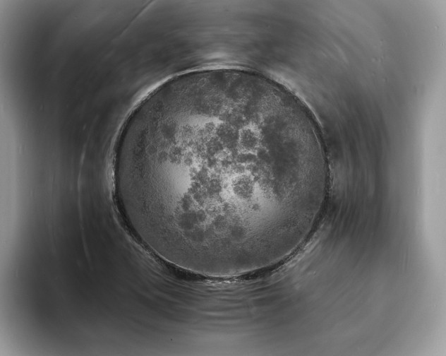 X0000094061415200710191053