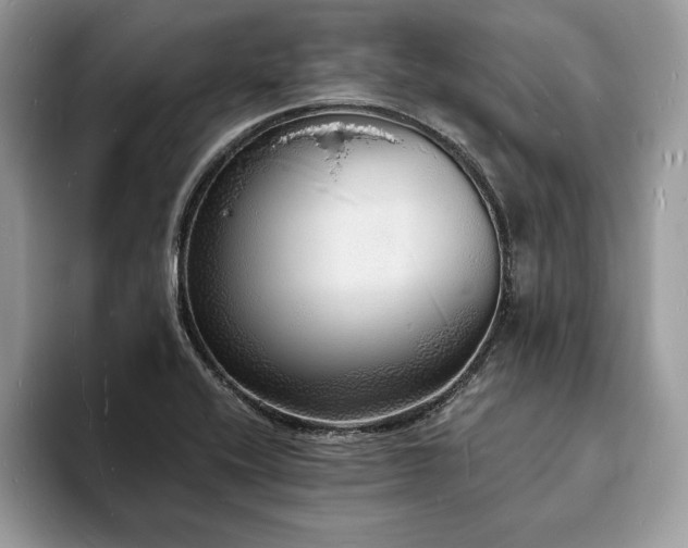 X0000094061416200710191053