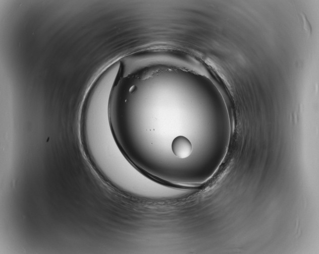 X0000094061418200710191053