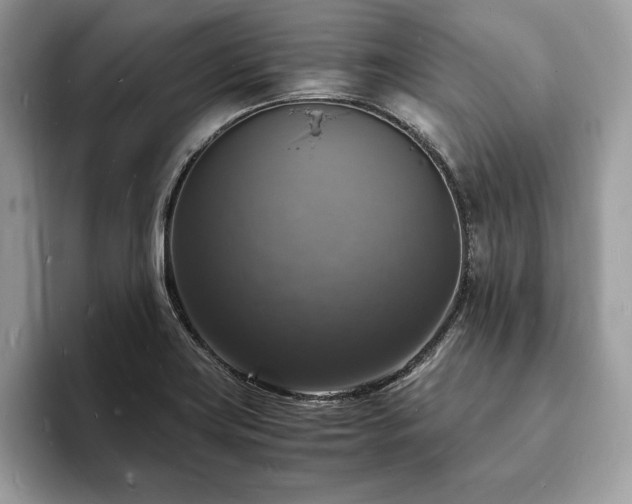 X0000094061419200710191053