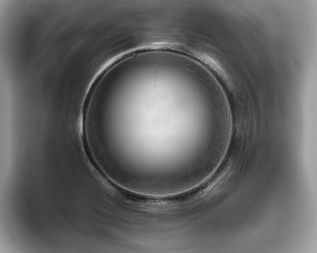 X0000094061420200710191053