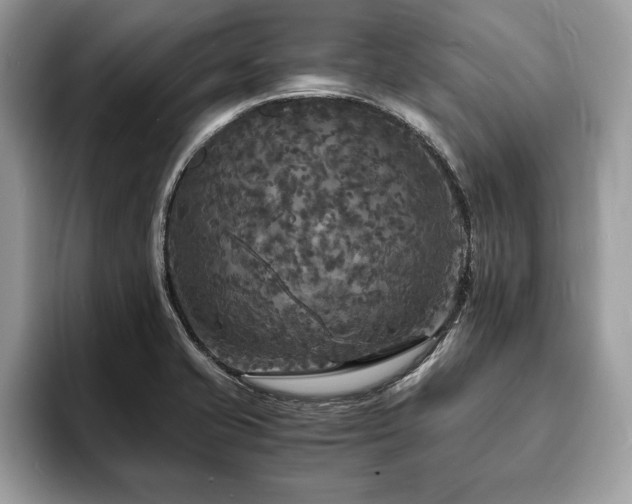 X0000094061421200710191053