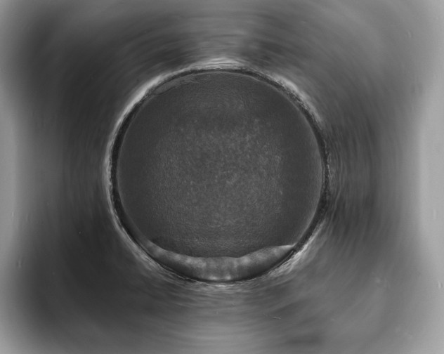 X0000094061422200710191053