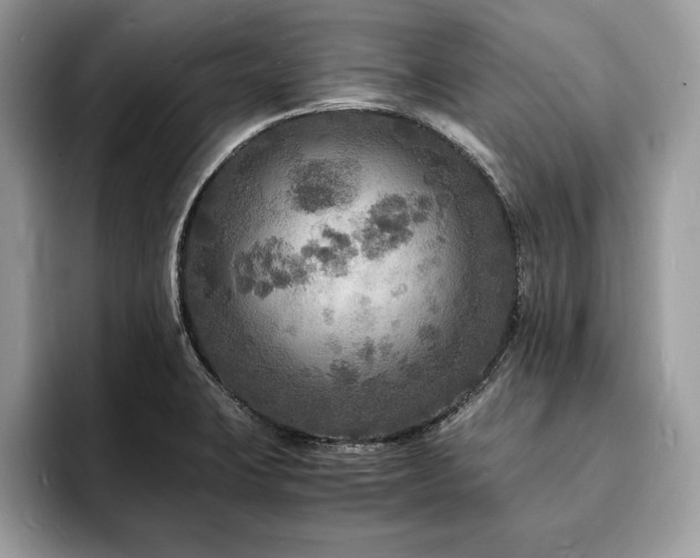 X0000094061423200710191053