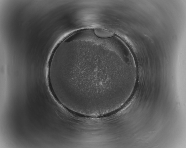 X0000094061424200710191053