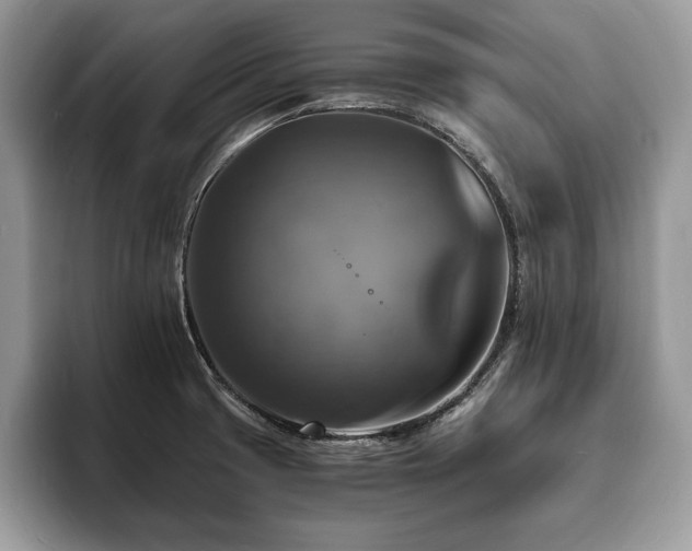 X0000094061425200710191053