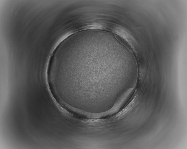 X0000094061426200710191053