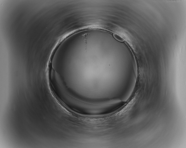 X0000094061428200710191053