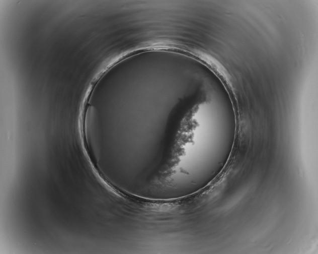 X0000094061429200710191053