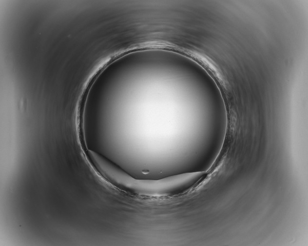 X0000094061430200710191053