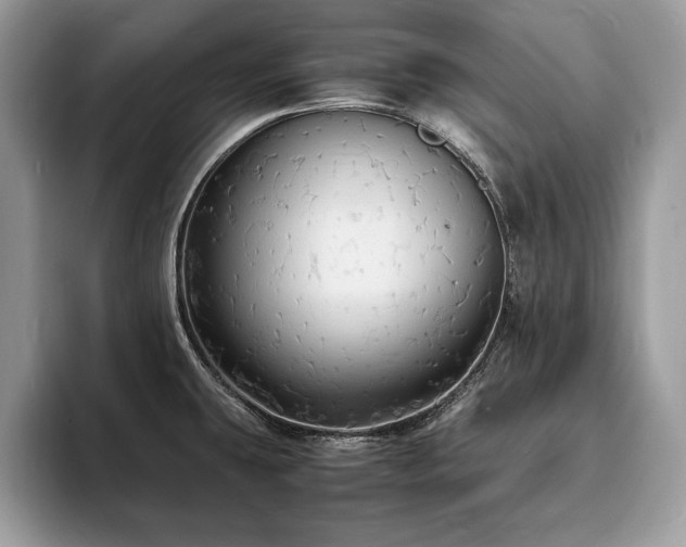X0000094061431200710191053