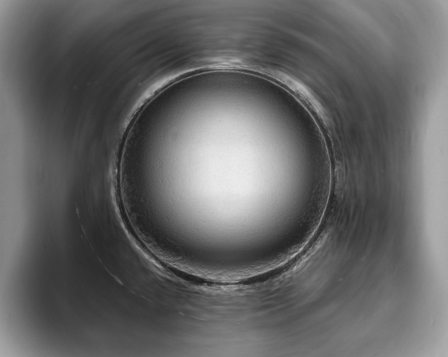 X0000094061432200710191053