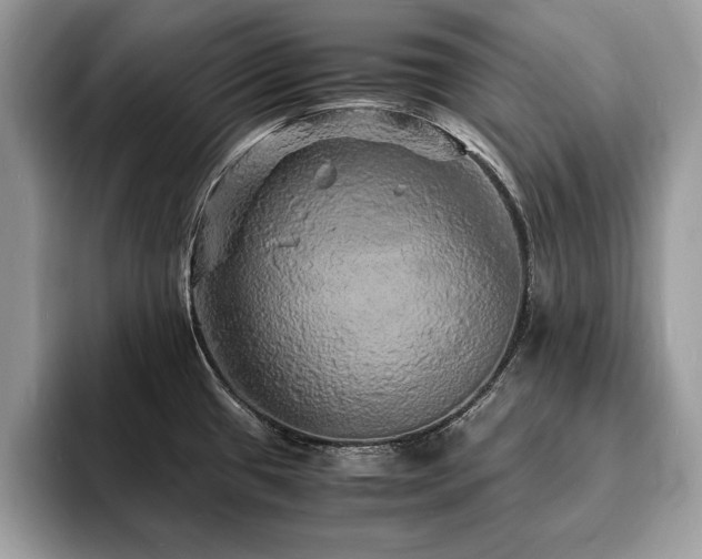 X0000094061433200710191053