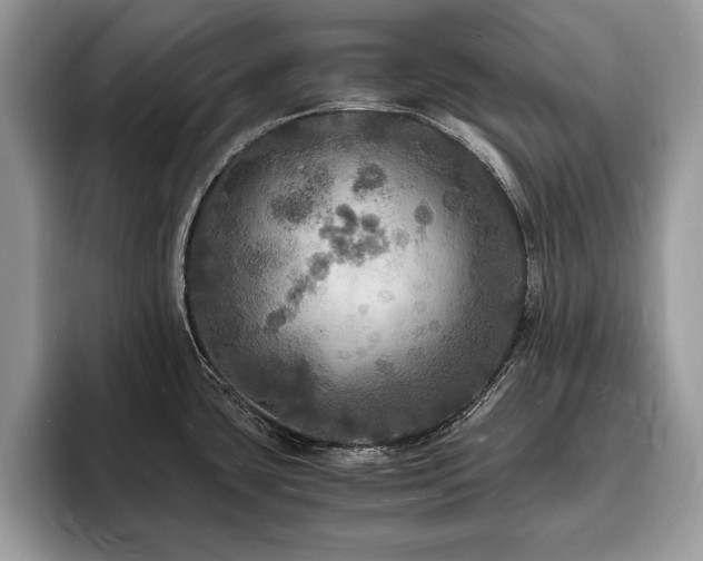X0000094061435200710191053