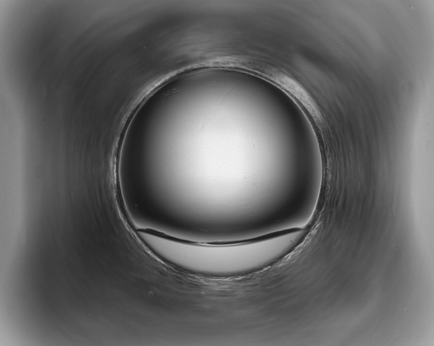 X0000094061436200710191053