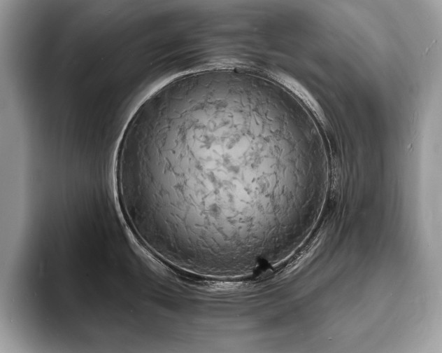 X0000094061439200710191053