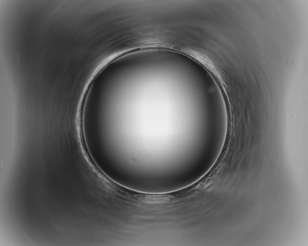 X0000094061440200710191053