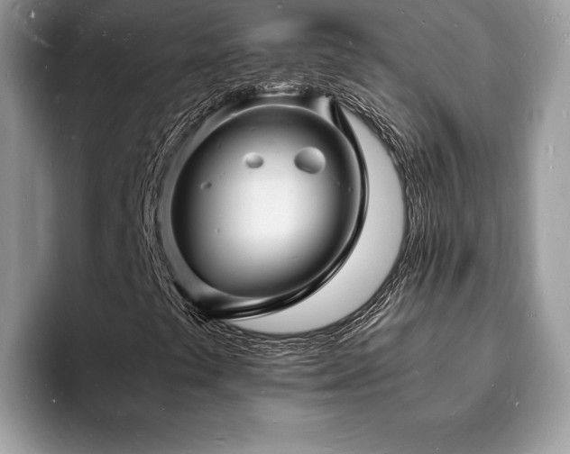X0000094061441200710191053