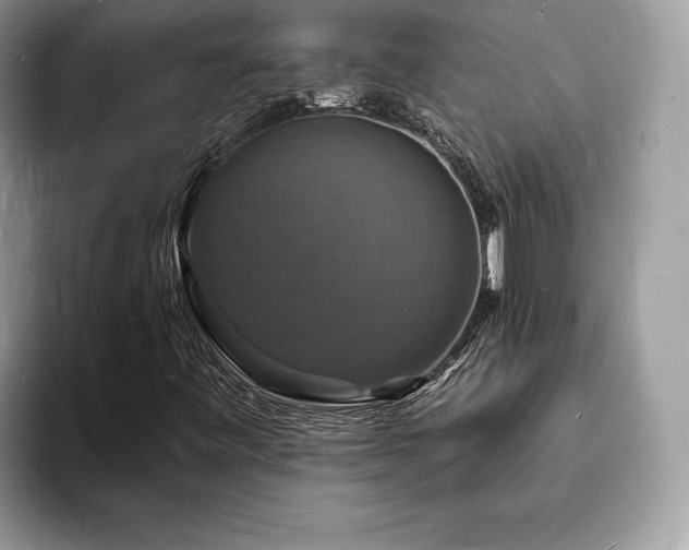X0000094061443200710191053
