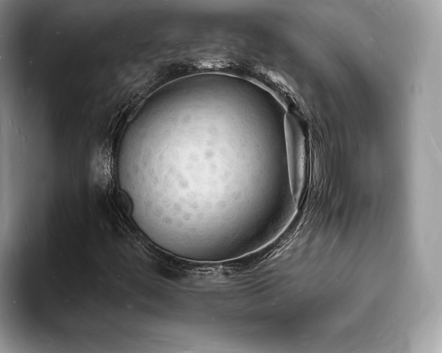 X0000094061444200710191053