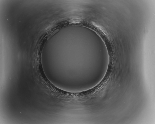X0000094061445200710191053